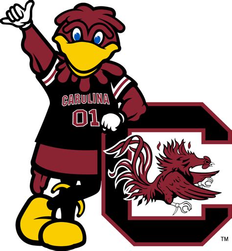 usc cocks